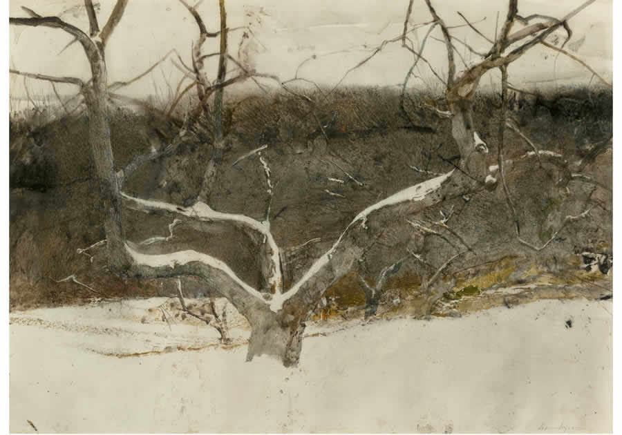 Andrew Newell Wyeth  - Hill Orchard