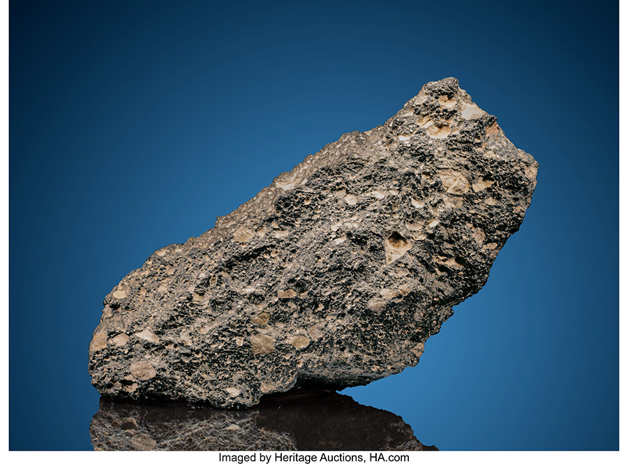 NWA 13119 Lunar Meteorite