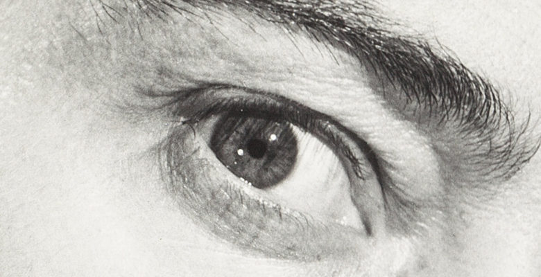 header - dali- article