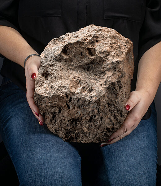 header - largest meteorite auction