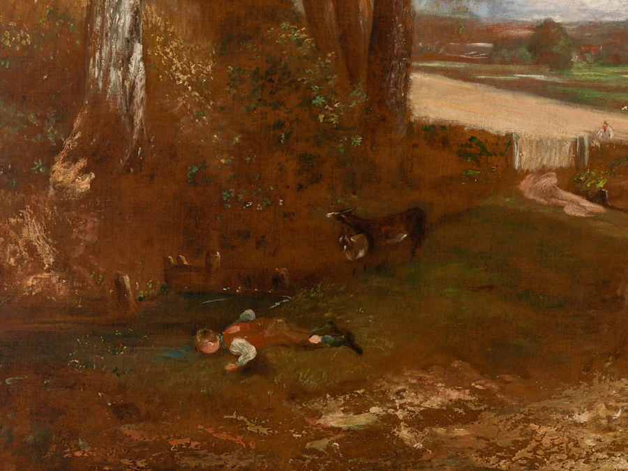 Cornfield Detail